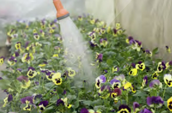 gardening-cm-pm